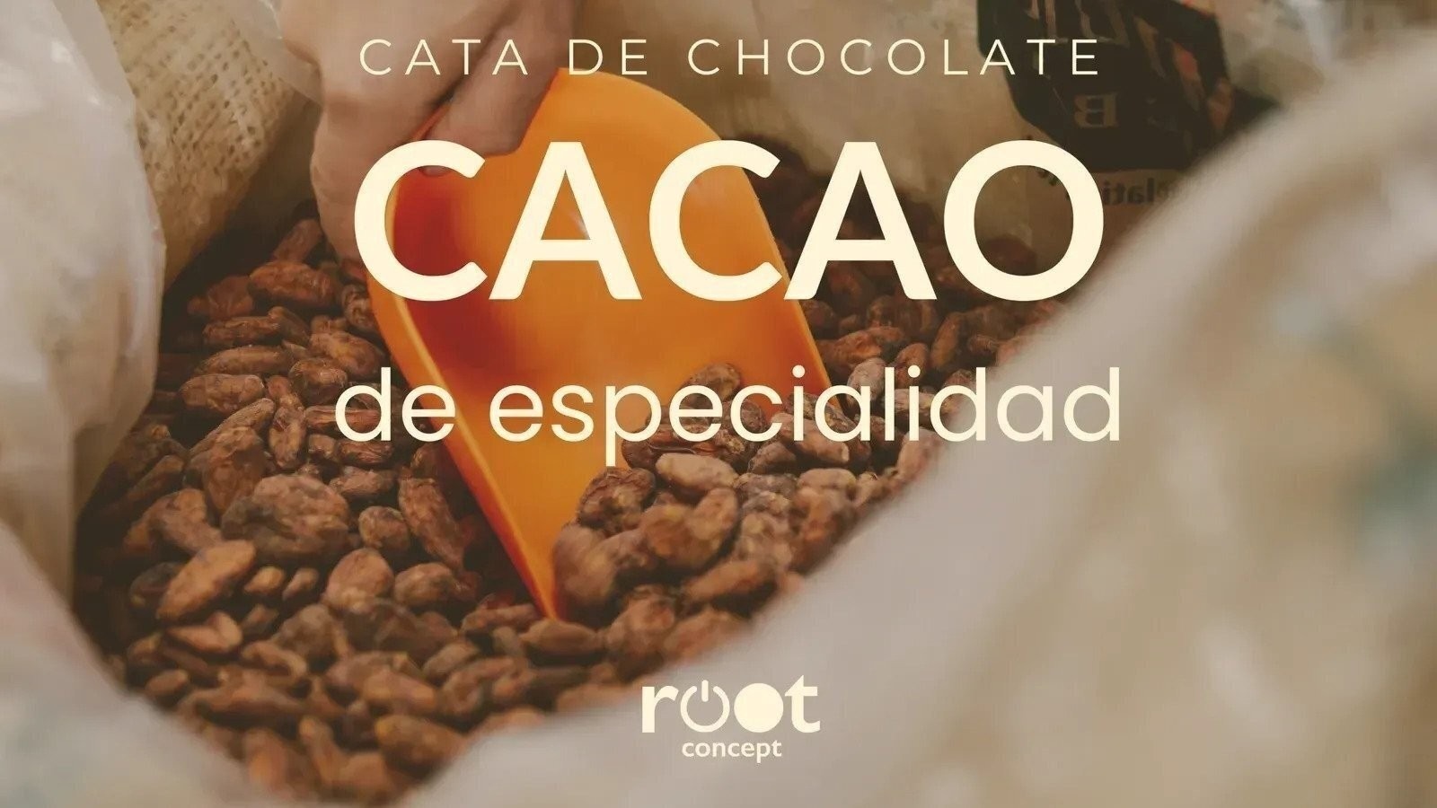 CATA DE CHOCOLATES BEAN-TO-BAR EN ROOT CONCEPT