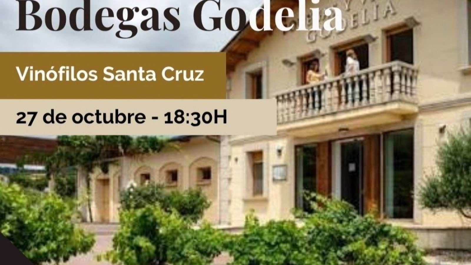 CATA ESPECIAL - BODEGAS GODELIA (by Vinófilos)