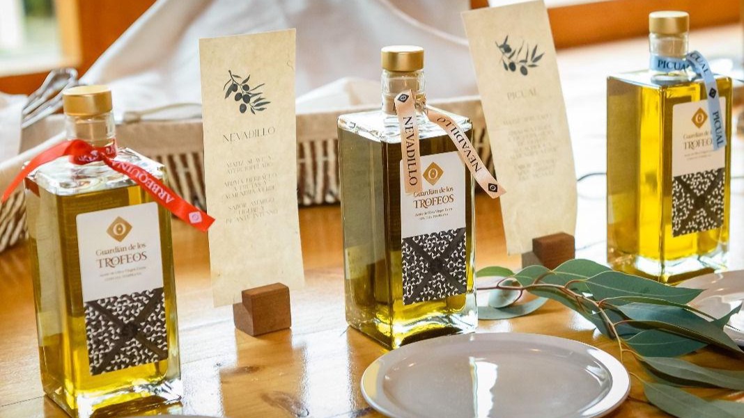 Oleoescuela de Guardián de Los Trofeos