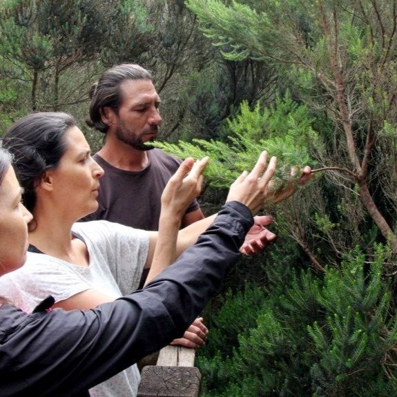 Tazirga Wellness Tours