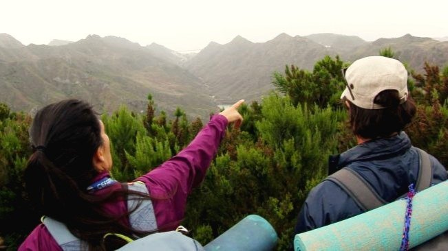 Tazirga Wellness Tours