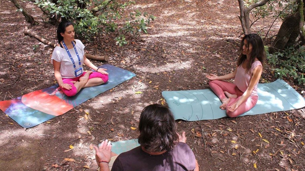 Tazirga Wellness Tours