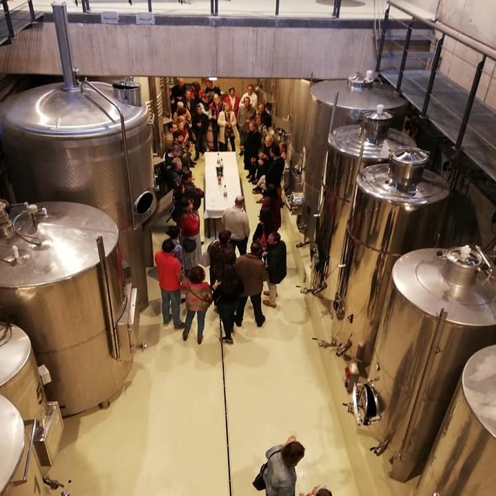 Bodega Linaje del Pago