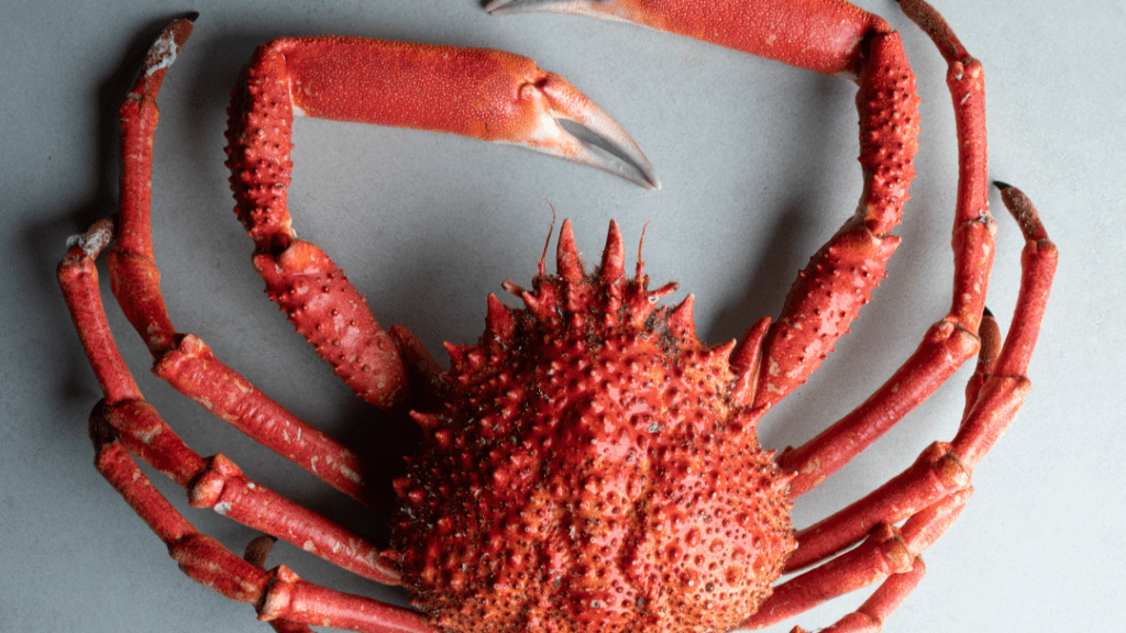 Rias Bajas Las Palmas